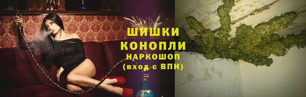 тгк Великий Новгород