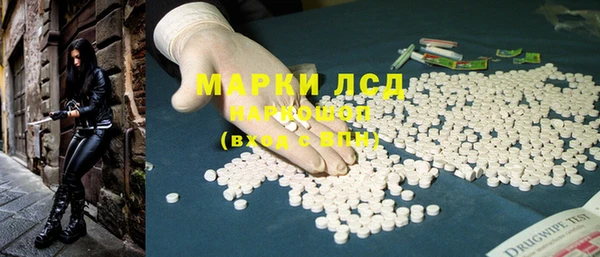 мяу мяу мука Магадан