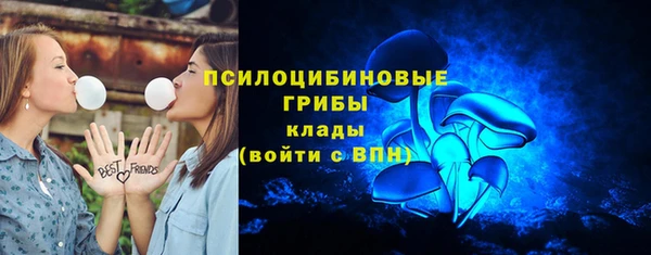 apvp Липки