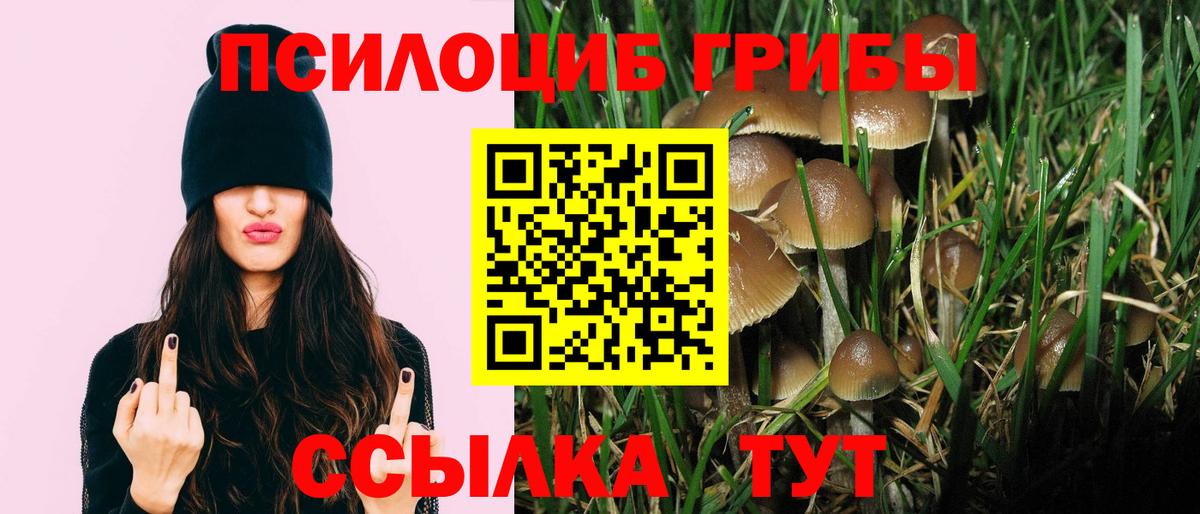 Галлюциногенные грибы прущие грибы Челябинск