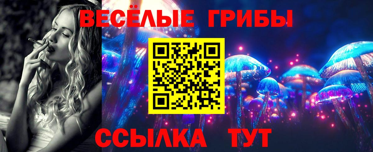 Псилоцибиновые грибы мухоморы  Вход с VPN  даркнет сайт  Челябинск 